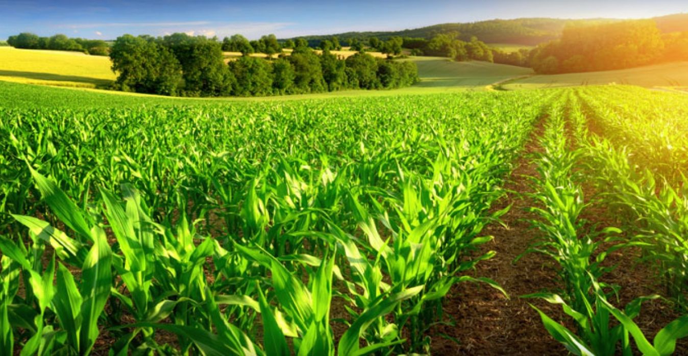 Agriculture_Slide